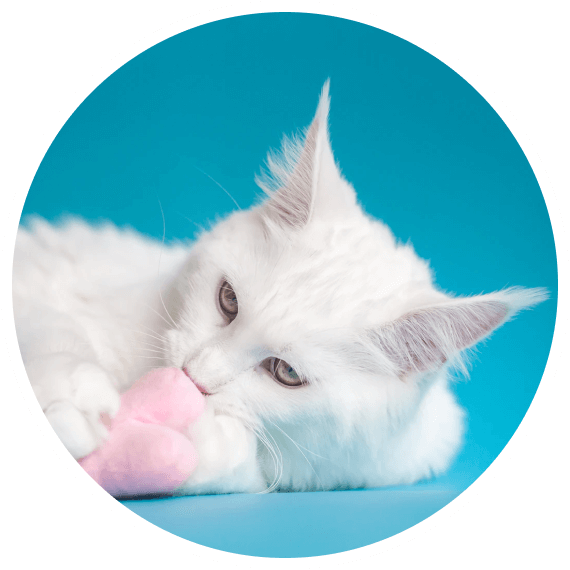 Winnie Veterinary Clinic